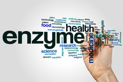 We Are What We Digest and Absorb: The Amazing World of Enzymes